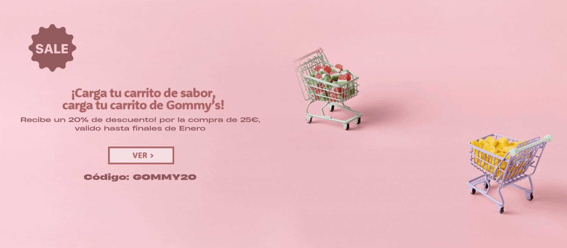 Recibe un 20% de descuento! por la compra de 25€, valido hasta finales de Enero